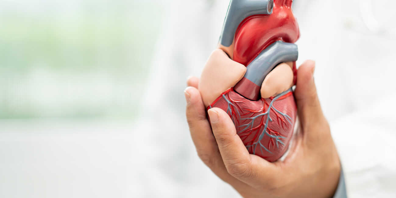 Quirónsalud Torrevieja strengthens its Cardiology Service